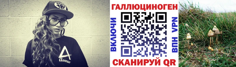Псилоцибиновые грибы Psilocybine cubensis  Мамадыш 